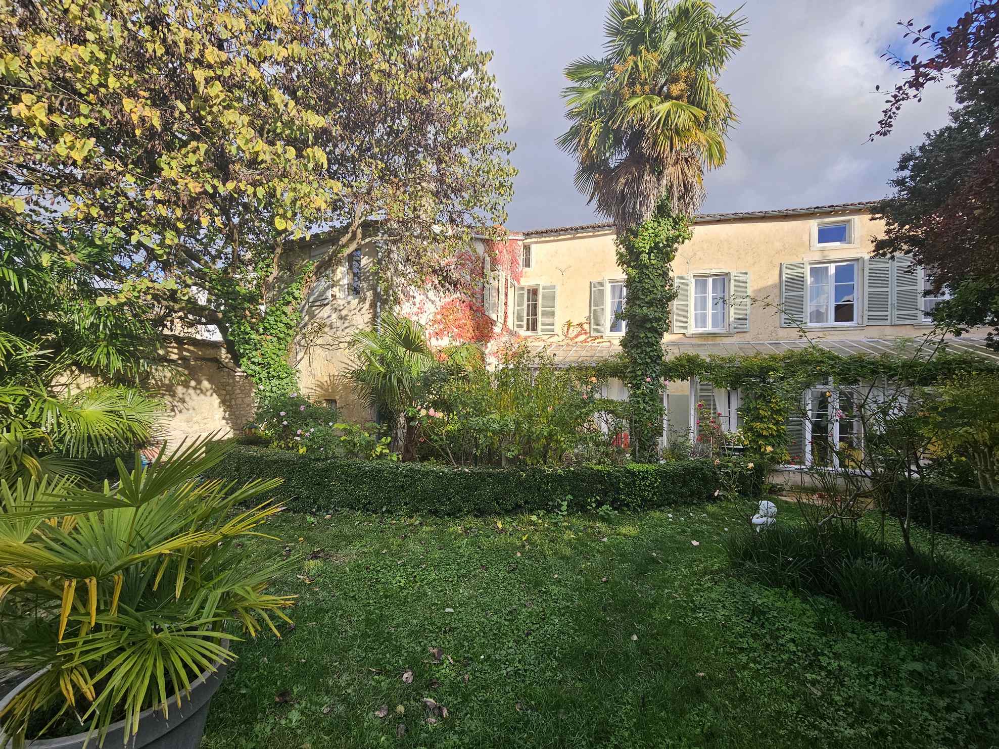 Plus de photos