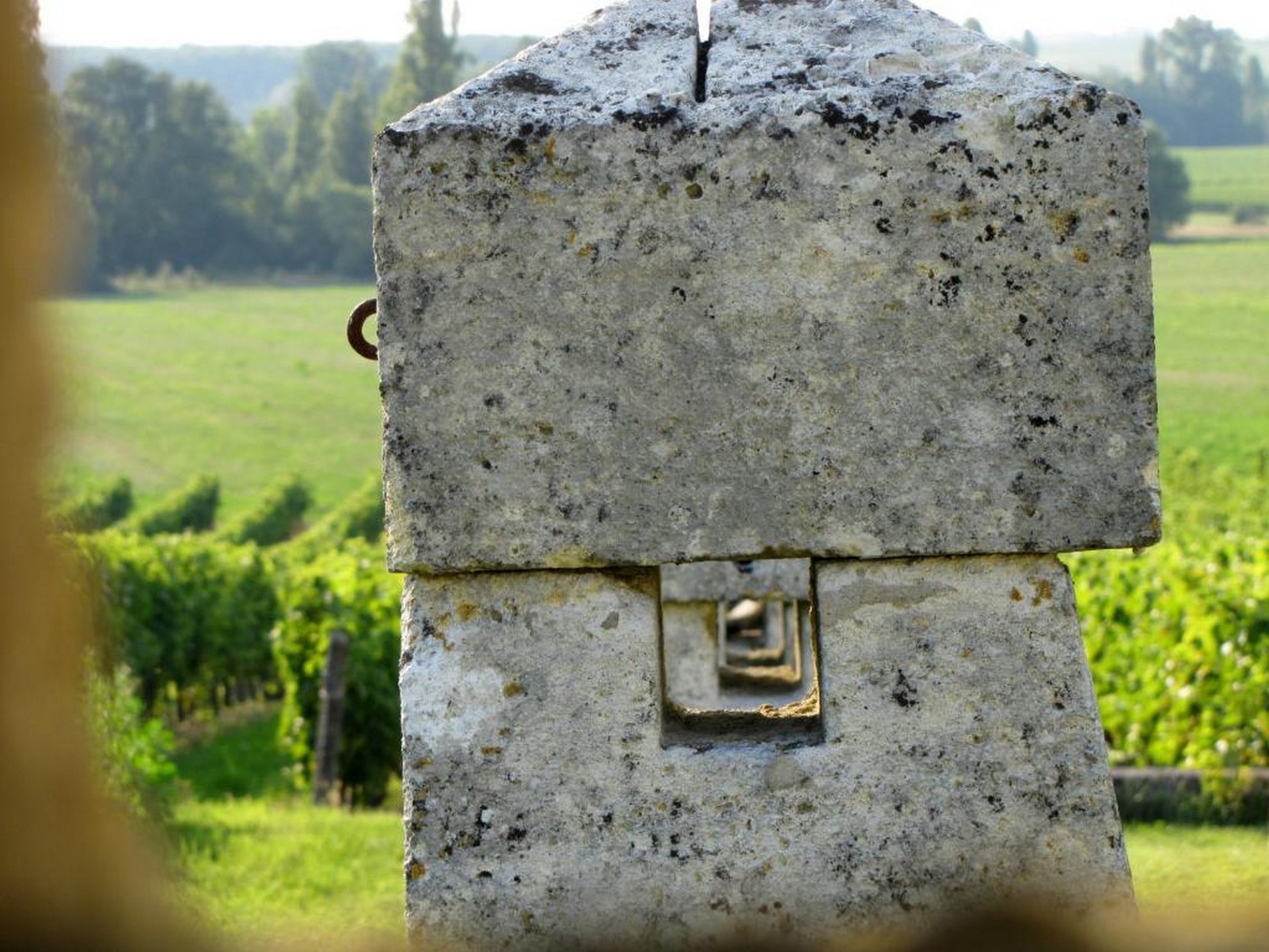 Plus de photos