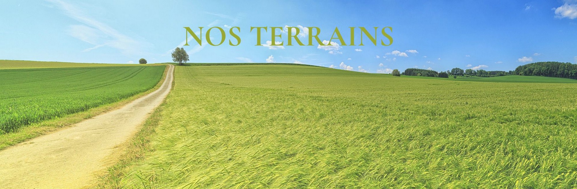 Nos terrains